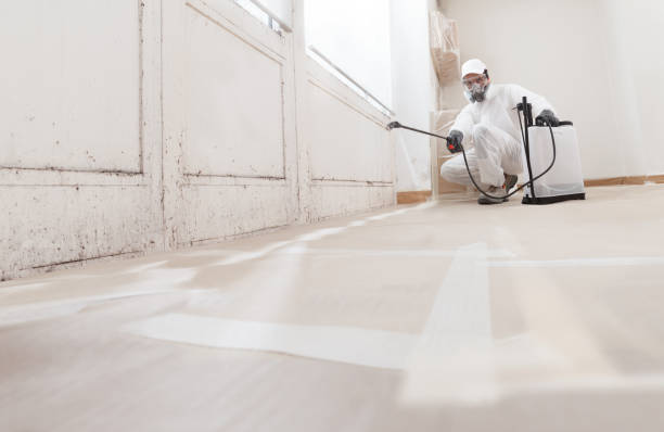 24/7 Emergency Basement Mold Removal experts in Crownsville, MD